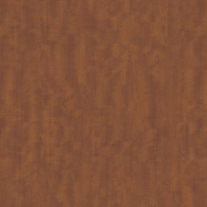 DELHİ OAK